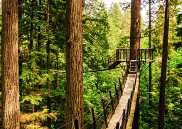 Capilano Suspension Bridge