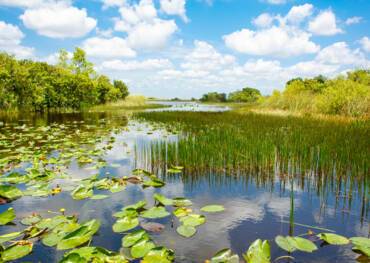 Everglades National Park, Florida