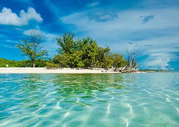The clear waters near an island in Bimini