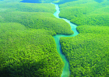 Amazon, South America