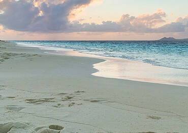 Bonaire, Caribbean