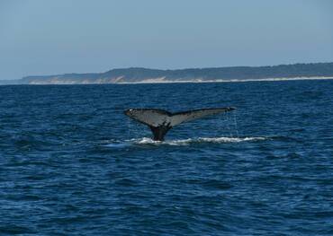 Richards Bay, South Africa