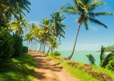 Ile Royale, French Guiana