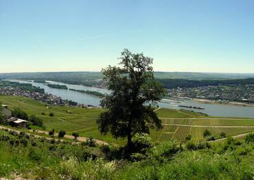 Rudesheim, Germany