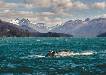 Cruises to Alaska