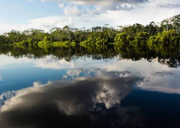 Pacaya River, Ucayali River, Tapiche River