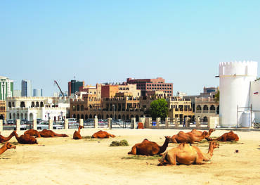 Doha - Qatar