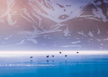 Northeast Svalbard Nature Reserve Expedition
