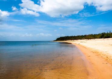 Alter Do Chao, Brazil