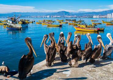 Coquimbo, Chile