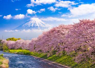 Tokyo, Japan
