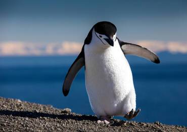 South Shetland Islands