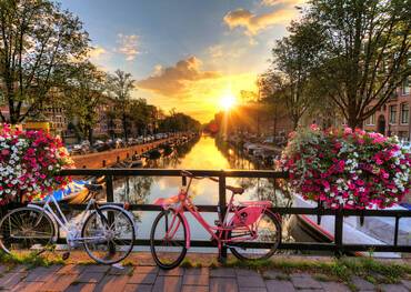 Bikes leaning against a fence in Amsterdam