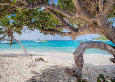 Tobago Cays, Grenadines