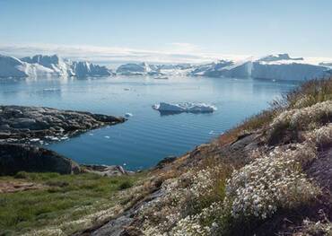 Greenland, Arctic