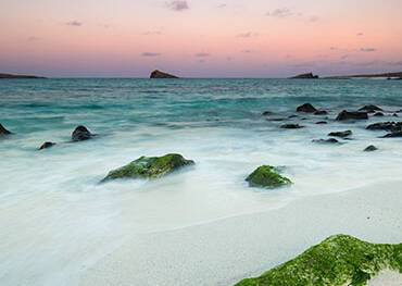 Galapagos Islands