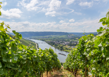 View of Moselle Valley