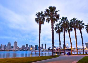 Palm trees and San Diego skyline