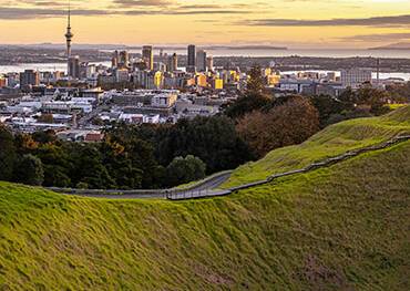 Auckland Cruises