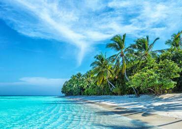 Cruise lines category