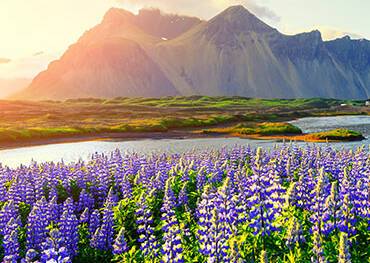 Cruises to Iceland