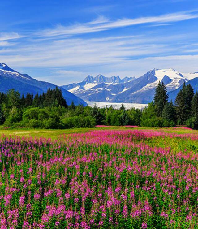 A panoramic view of Juneau
