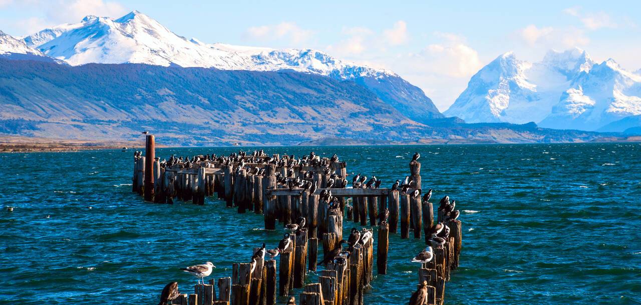 chilean fjords cruise