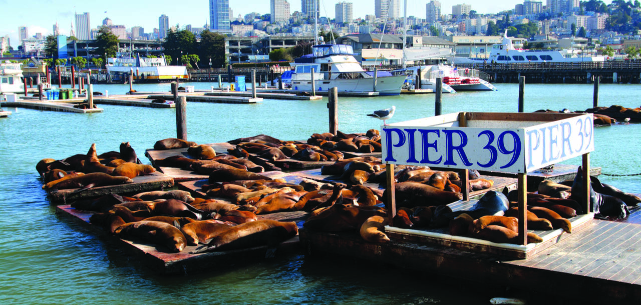 San Francisco Cruises 2024/25 Cruises to San Francisco ROL Cruise