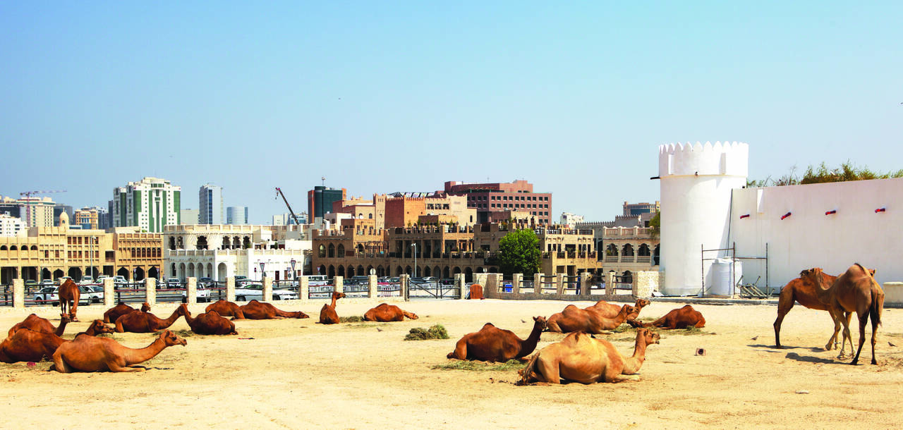 Doha Cruises 2020 & 2021 Cruises to Doha ROL Cruise