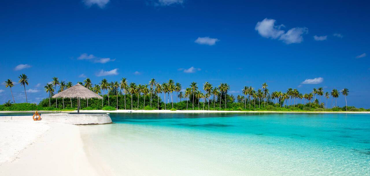 Maldives Cruises 2024/25 Cruises to the Maldives ROL Cruise