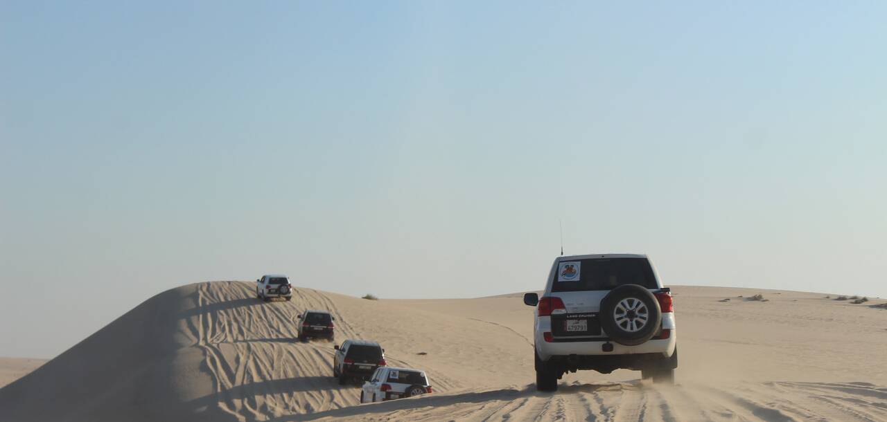 Doha Cruises 2020 & 2021 Cruises to Doha ROL Cruise
