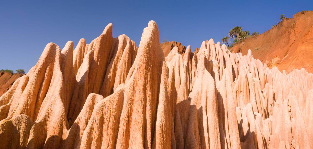 Madagascar Cruises 2024/25 | Cruises to Madagascar | ROL Cruise