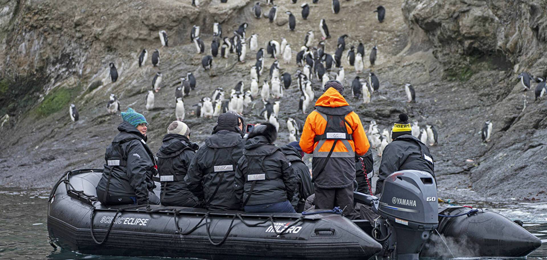 "Wow, look over there!"