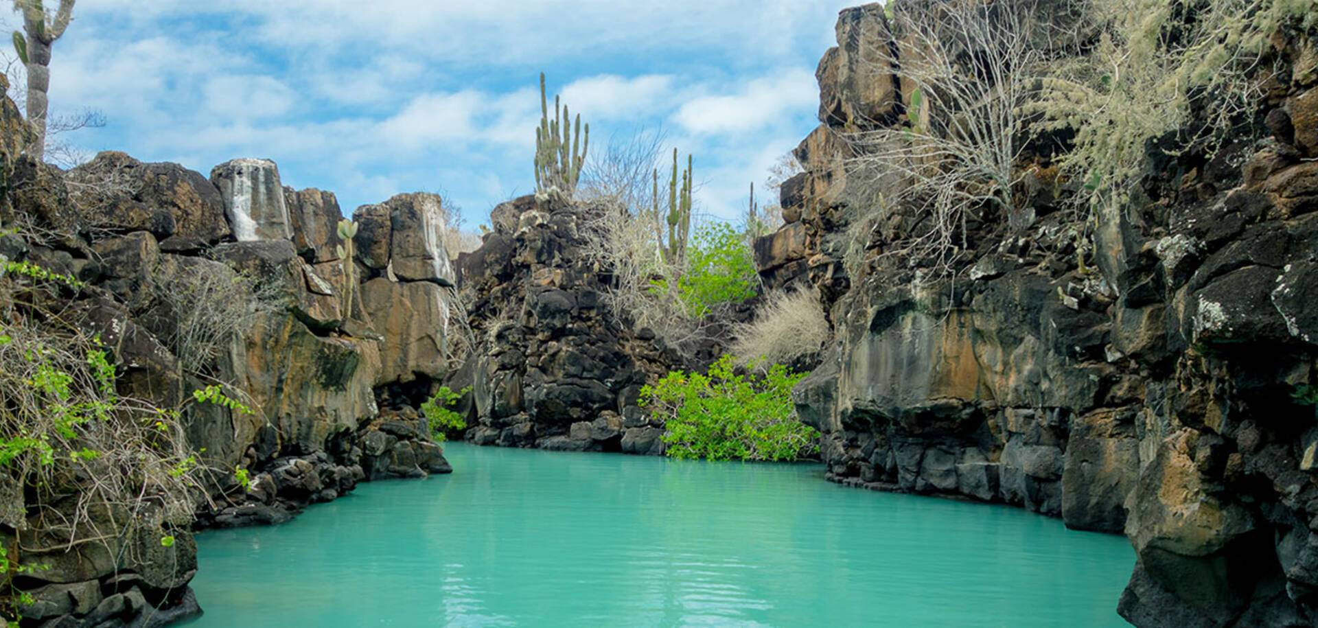 Santa Cruz Island, Galápagos Islands