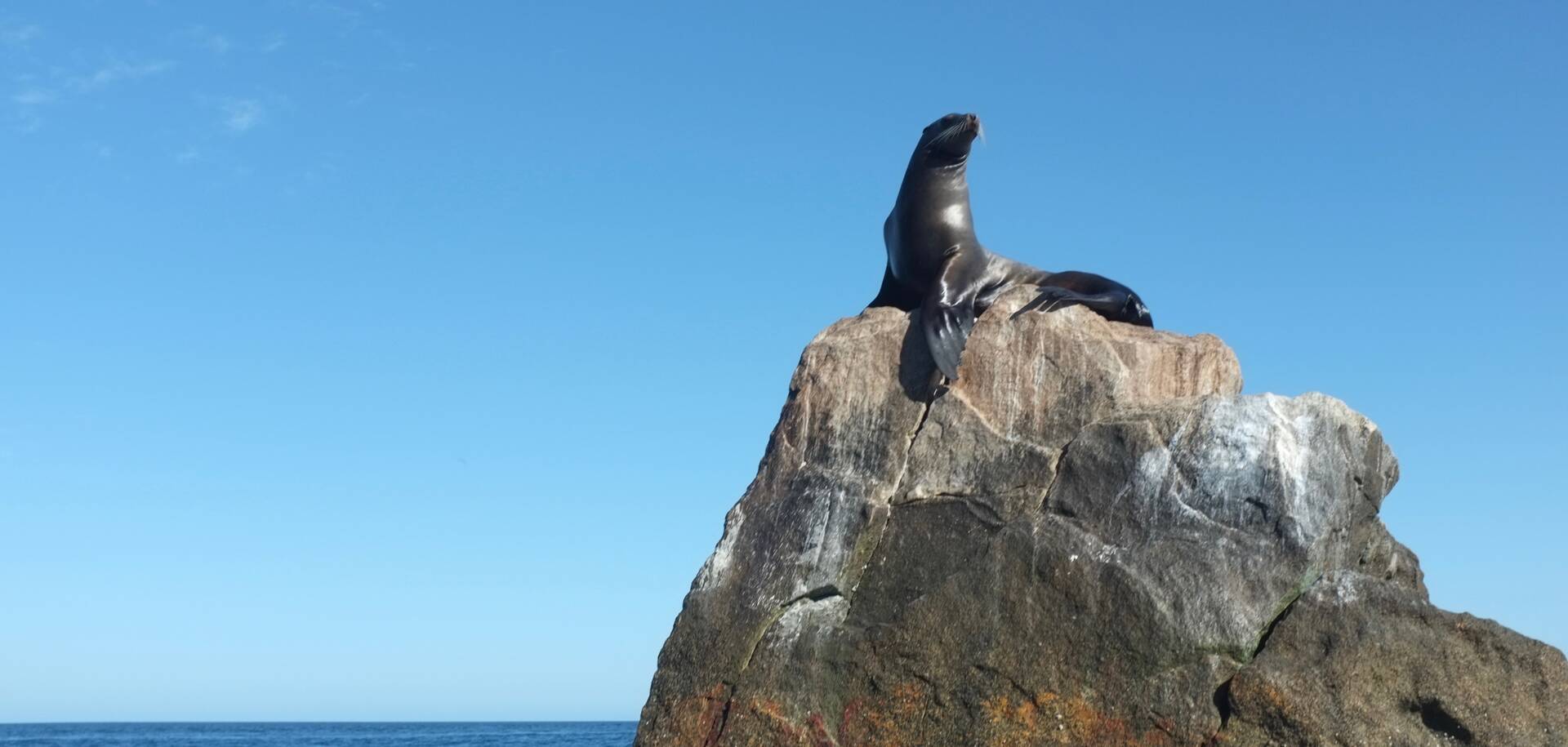 El Arco, Cabo San Lucas
