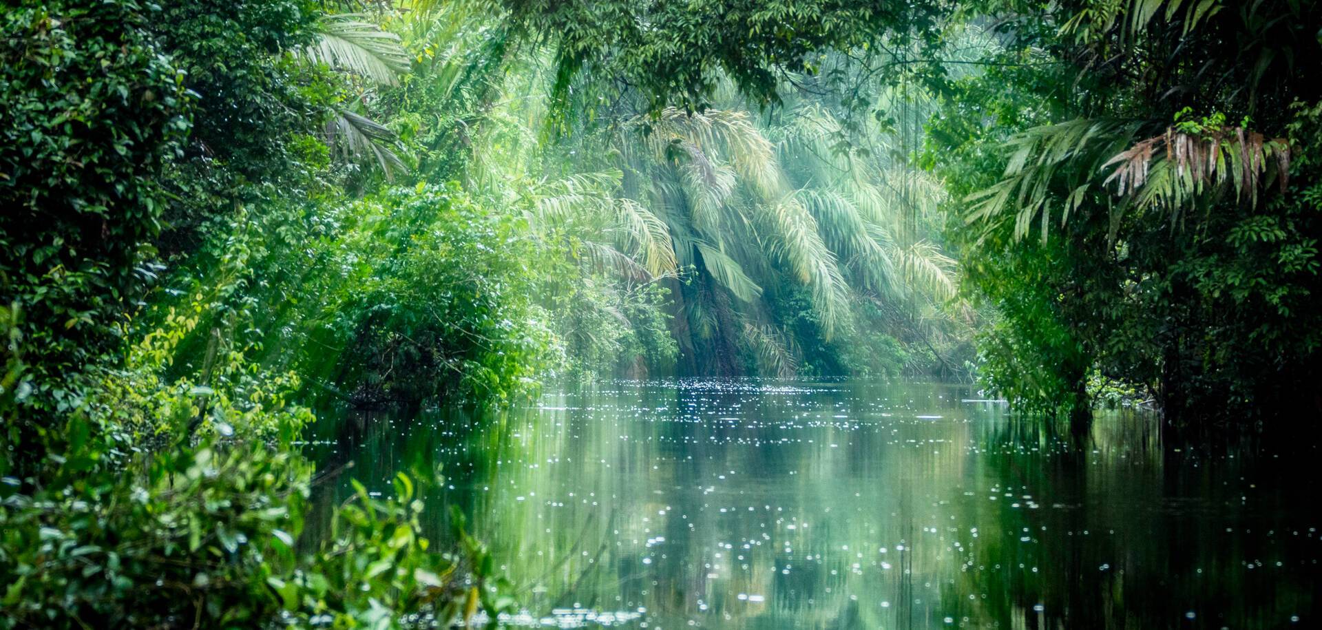 Tortuguero National Park, Costa Rica