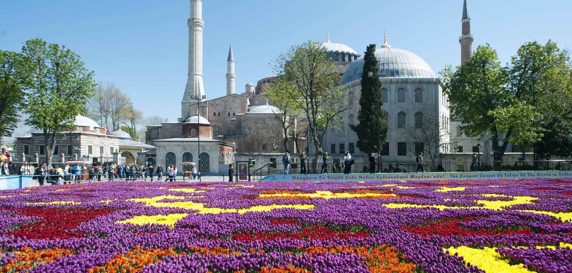 Istanbul Cruises 2024/25 Cruises to Istanbul ROL Cruise