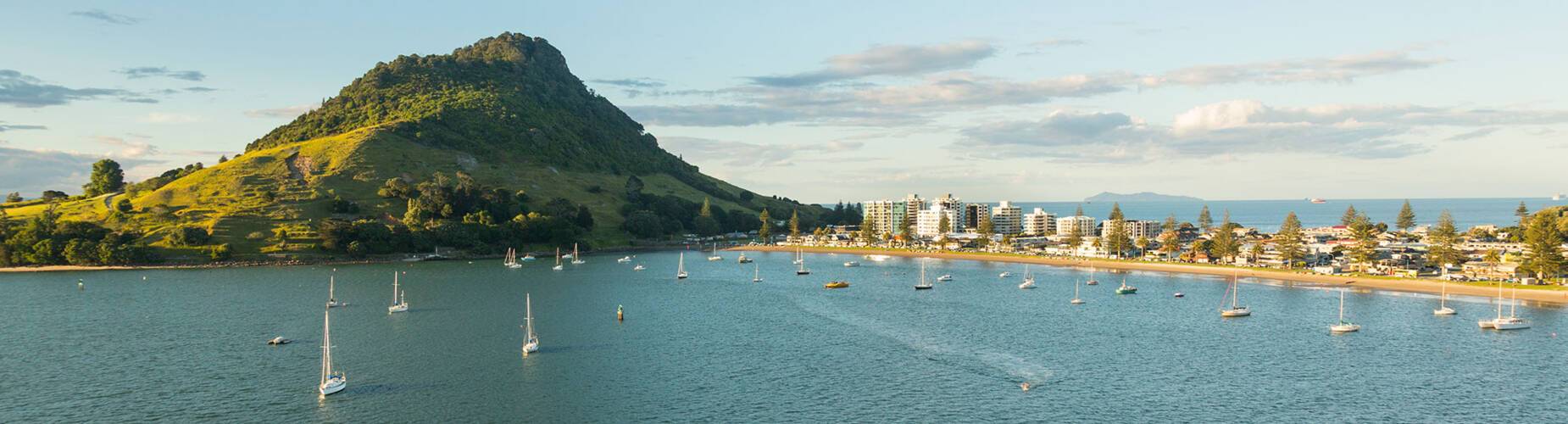 A panoramic view of Tauranga