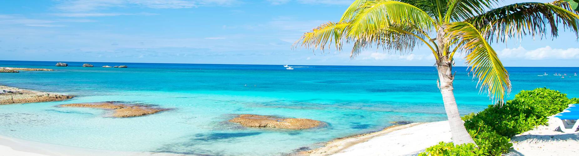 A beach with white sand and a palm tree