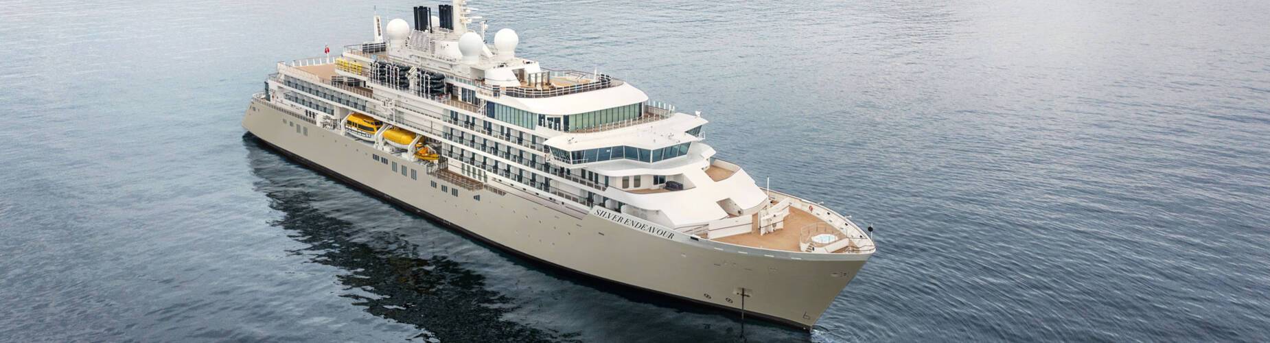 Silver Endeavour