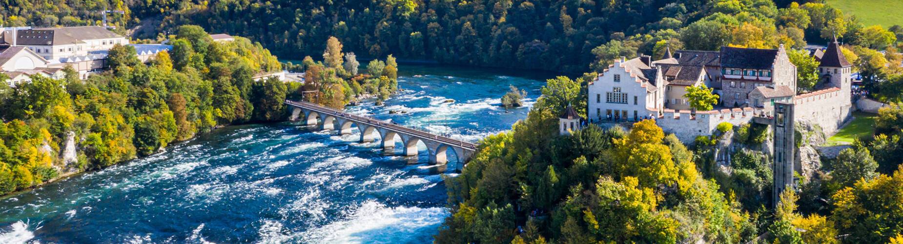 Rhine River Cruises