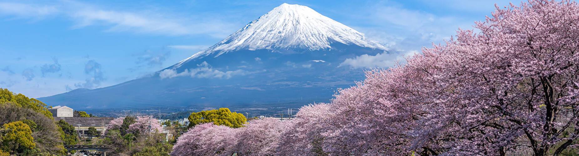 A view of Mount Fuji