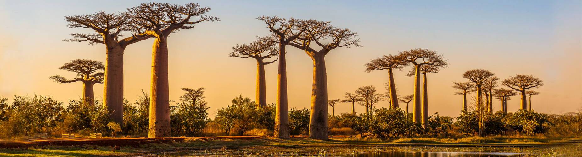 Madagascar