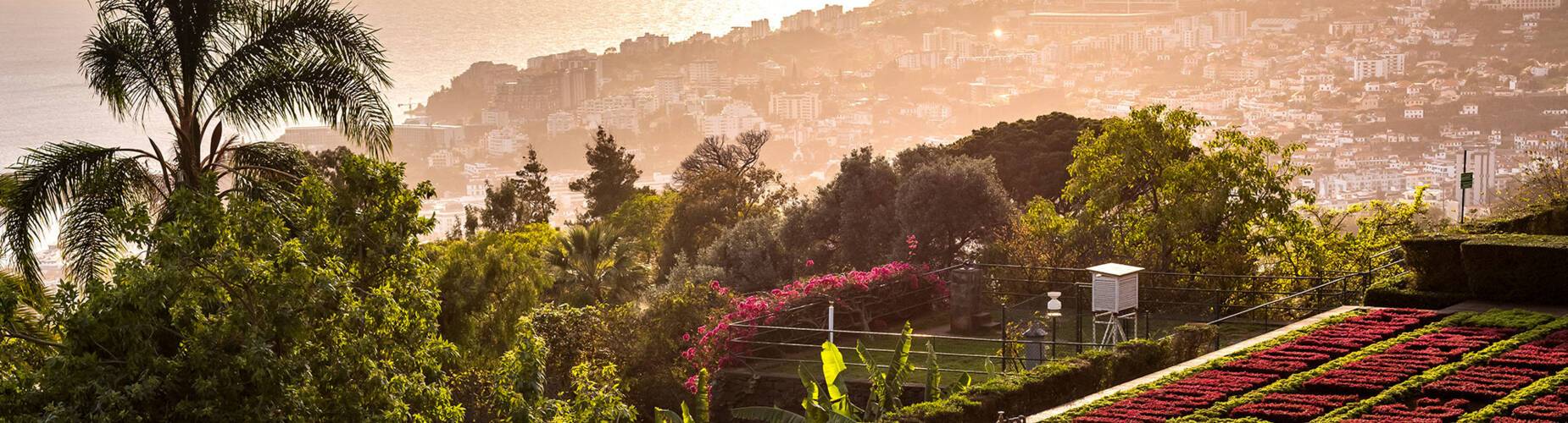 Funchal Cruises
