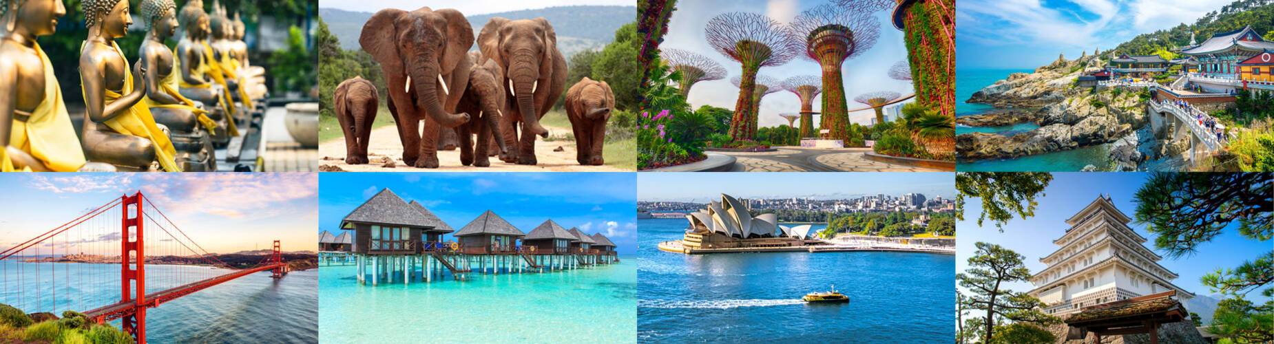 World Cruise