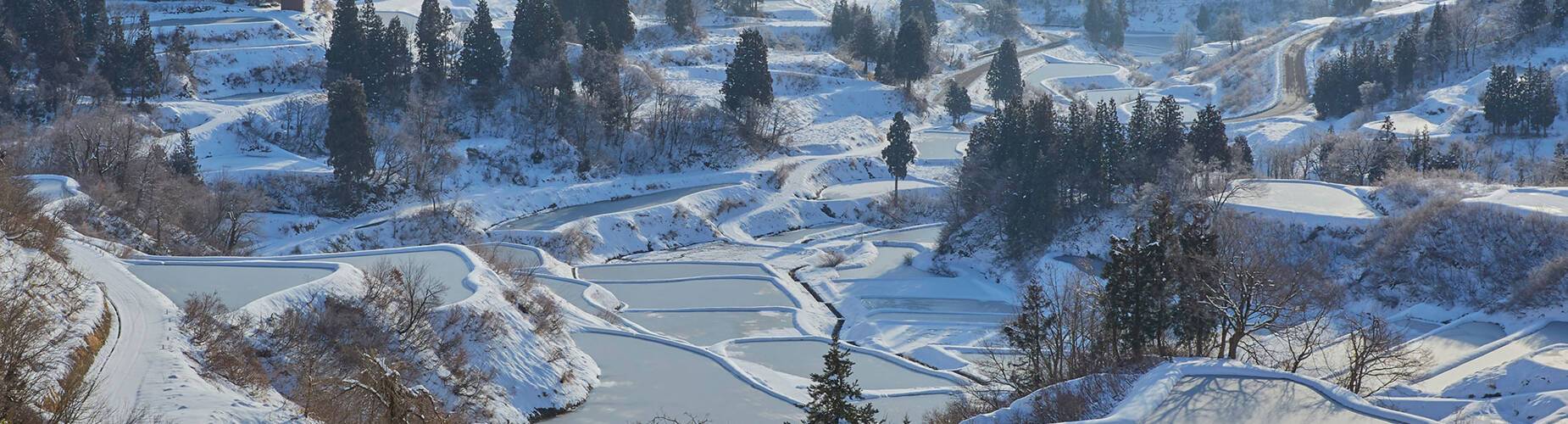A view of a snowy Niigata