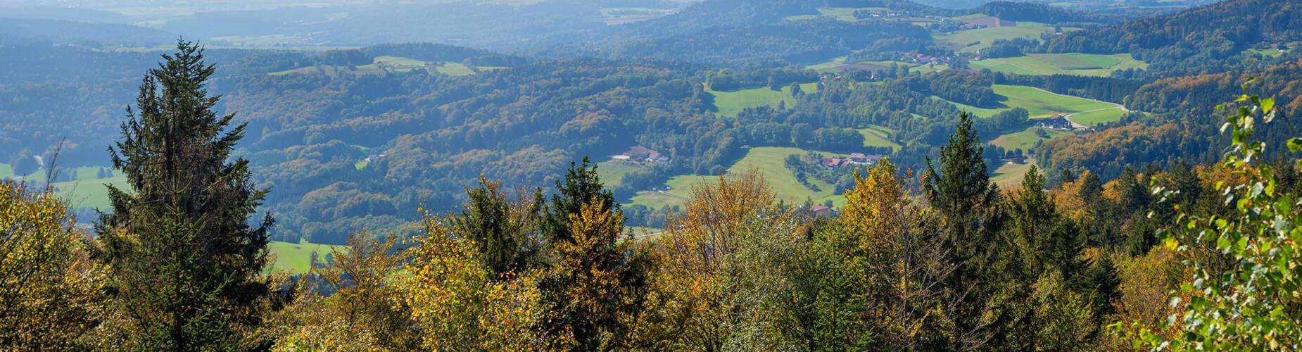 The view of Deggendorf from the Bavarian Forest