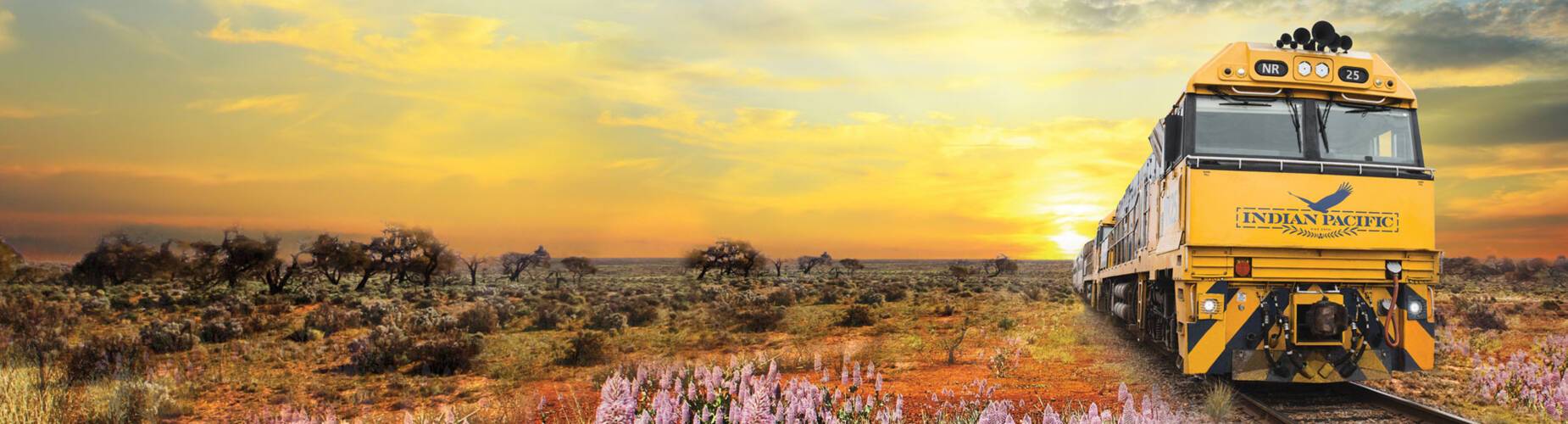Indian Pacific Train