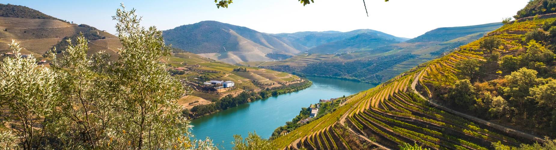 Douro River
