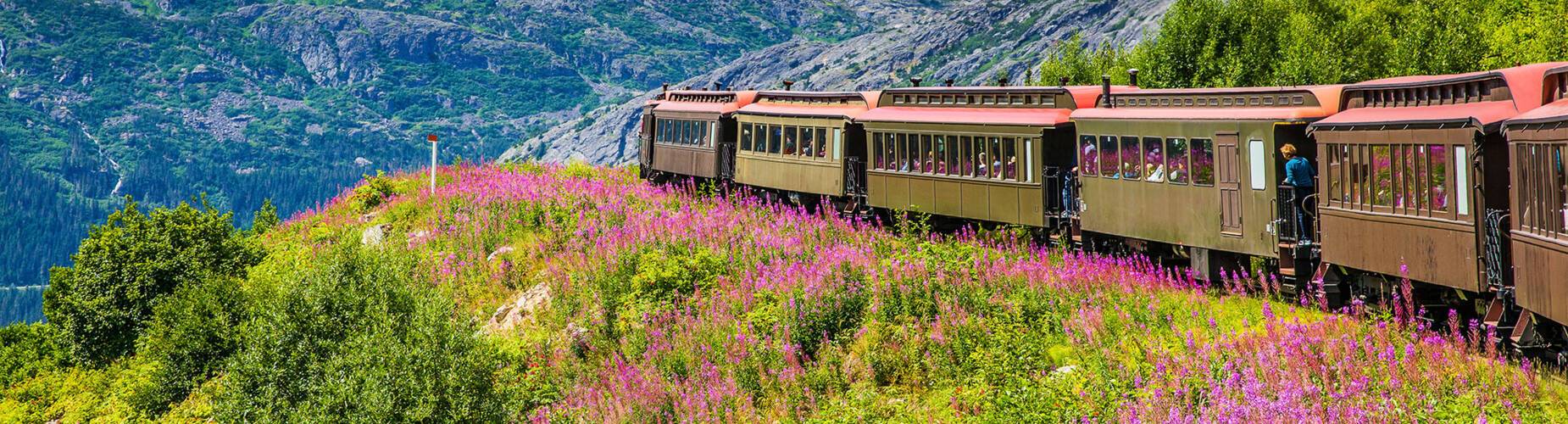 A panoramic view of Skagway